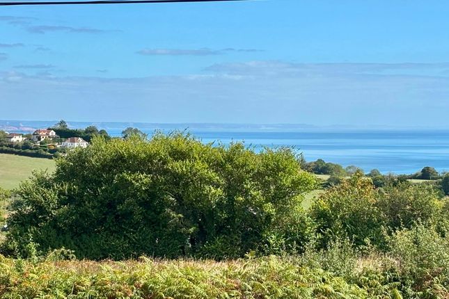 Ridge House, Torquay photo 2