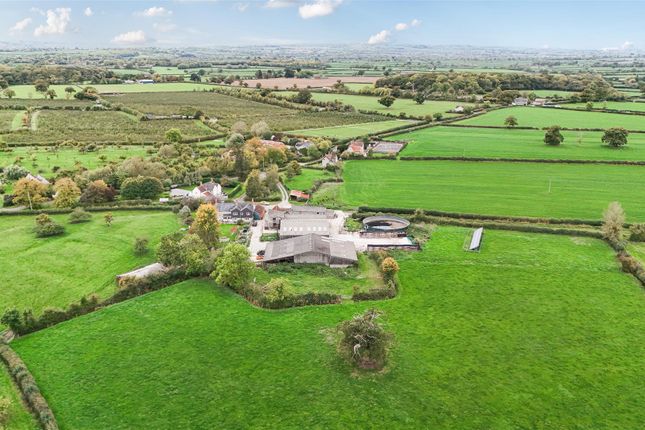 Church Farm, Glastonbury photo 4
