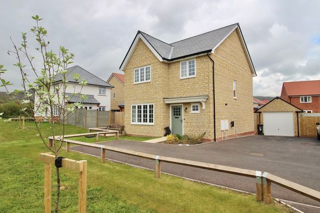 Detached house to rent in Hawfinch Road, Cheddar