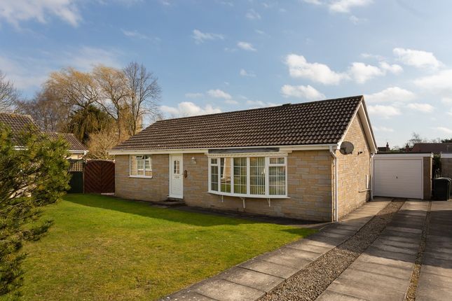 Thumbnail Bungalow for sale in Rushwood Close, Haxby, York