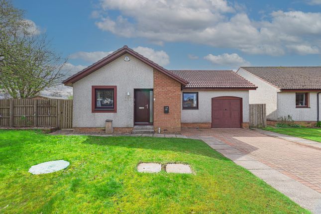 Thumbnail Detached bungalow for sale in St Serfs Road, Crook Of Devon, Kinross