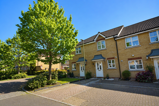 66, Stephenson Mews, Stevenage photo 4