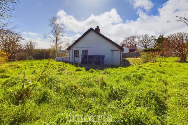 Detached bungalow for sale in Llechryd, Cardigan