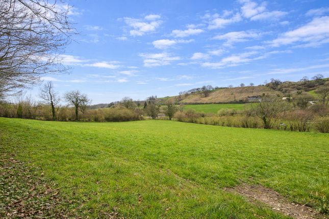 Tancoed, Drefach, Llanybydder photo 3