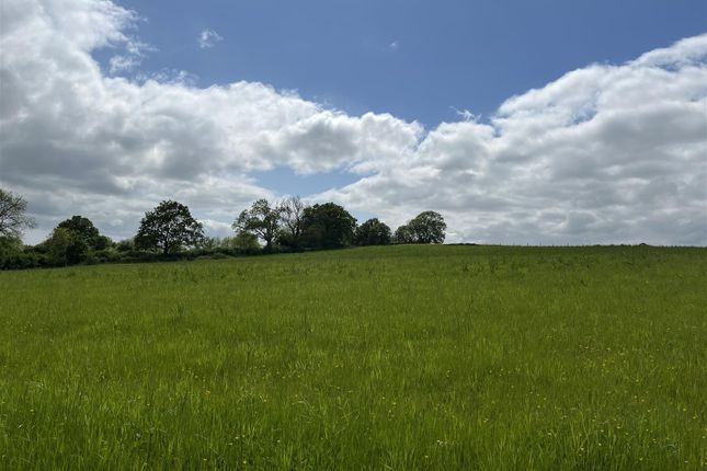 Thumbnail Land for sale in Downclose Lane, North Perrott, Crewkerne