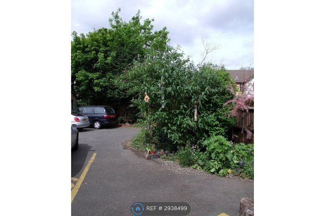 Eastfield Road, Peterborough photo 3