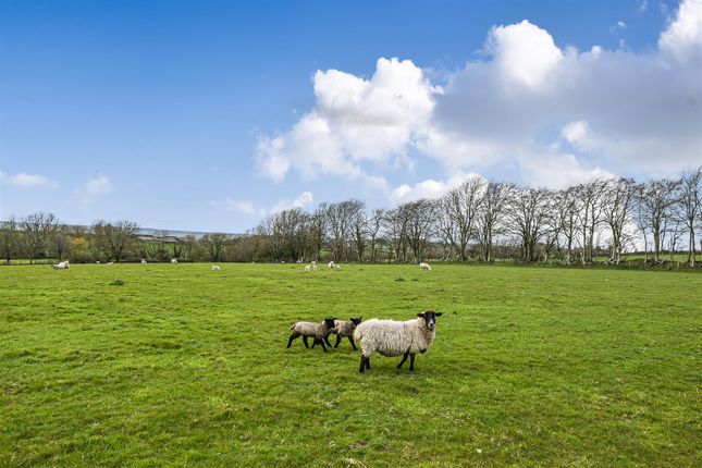Farmhouse for sale in Trinity Hill Road, Combpyne, Axminster