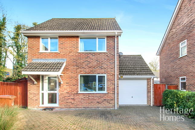 Img_9027-Fotor-20251114155631