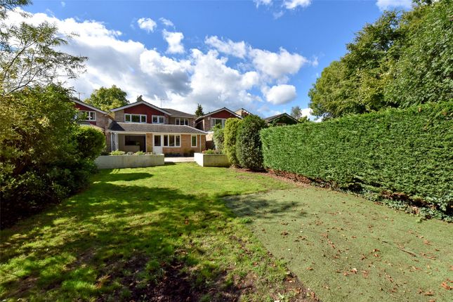 Thumbnail Detached house to rent in Marlin Court, Marlow, Buckinghamshire
