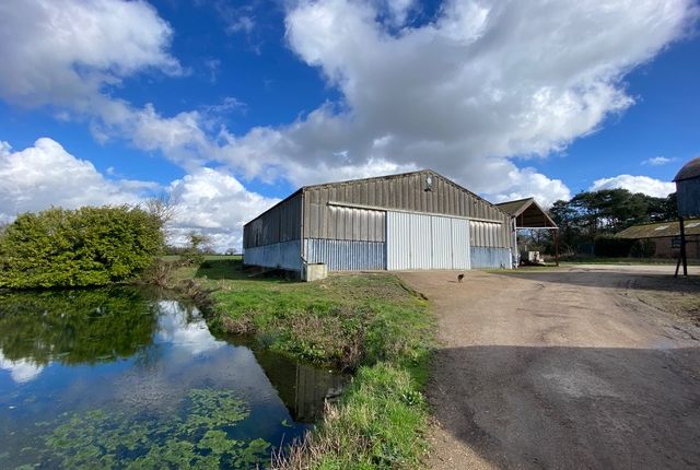 Industrial to let in Barn At Butlers Farm, Newton Green, Sudbury, Suffolk