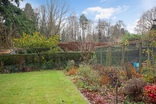 Detached bungalow for sale in Speldhurst Road, Langton Green
