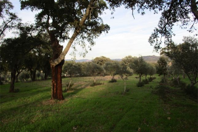 Land for sale in 6090 Penamacor, Portugal