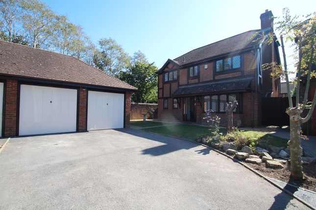 Thumbnail Detached house to rent in Charlotte Close, Poole