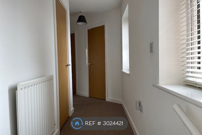 Chancel Drive, Wainscott, Rochester photo 3