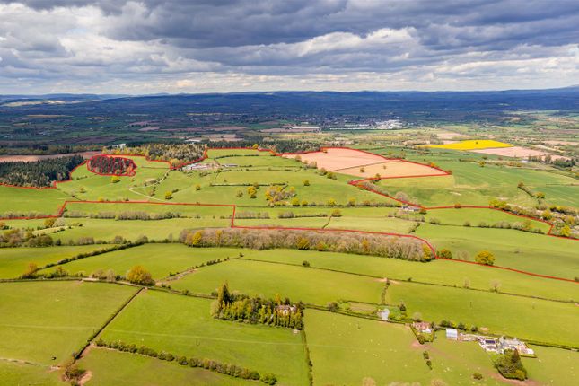 Dji_0292-Pano-Edit-Edit.Jpg
