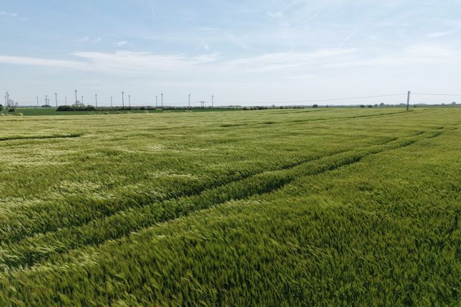 Lot 4 - 39.14 Acres (15.84ha) Of Grade 3 Arable La, Austen Fen, Louth photo 2