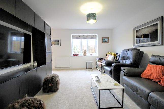 25, Armour Grove, Irvine photo 4