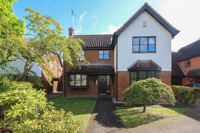 Thumbnail Detached house to rent in Horksley Gardens, Hutton, Brentwood