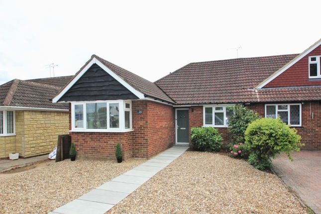 Thumbnail Semi-detached bungalow to rent in Queen Marys Drive, New Haw, Addlestone