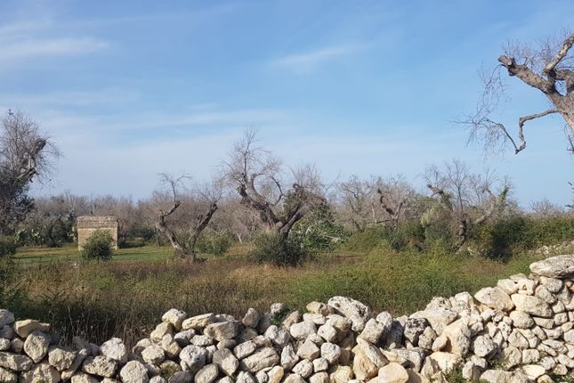 Thumbnail Land for sale in Vernole, Puglia, Italy