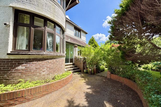 Cribyn, 230, Swansea Road, Swansea photo 4
