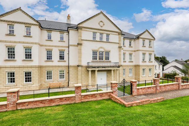 Front Of The Apartment Building