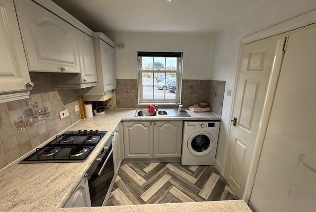 21, Arbour Lane, Chelmsford photo 5