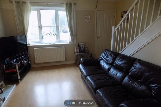 Thumbnail Semi-detached house to rent in Brahman Avenue, North Shields