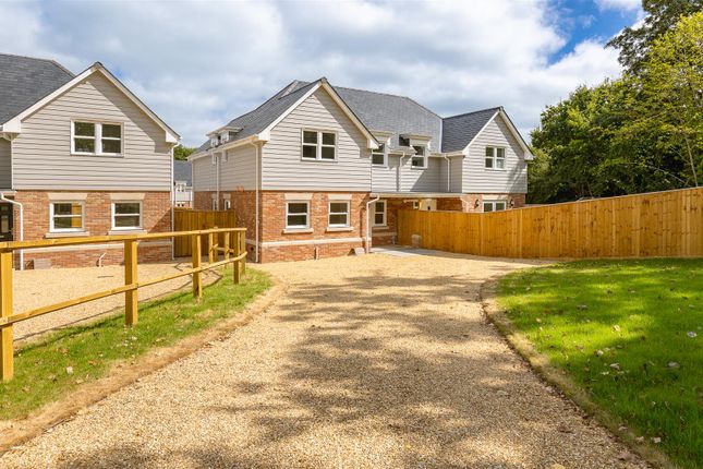 Driveway &amp; Garden.Jpg