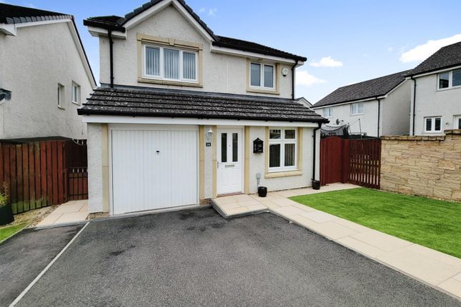 Knm0011Glei Lead.Jpg