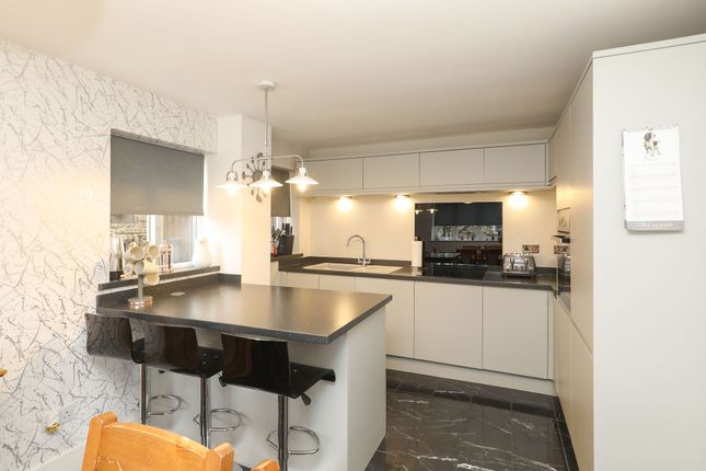 12 Campion Drive, Sheffield photo 3