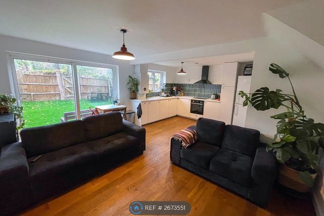 Living Room / Kitchen