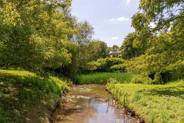 Grounds