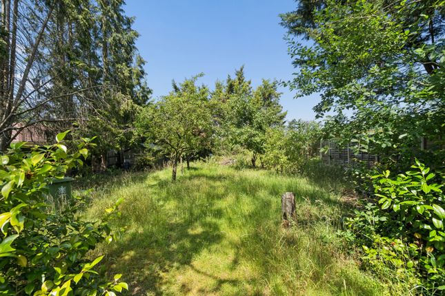 Southwood,, Red Hill, Buckinghamshire photo 4