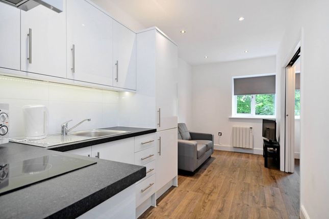 Thumbnail Flat to rent in Carpenters Mews, North Road, London