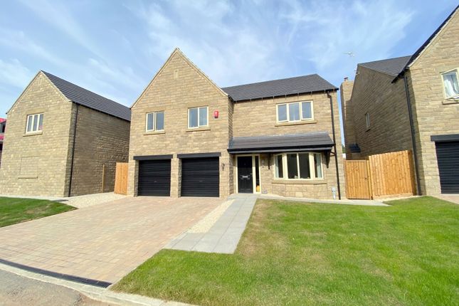 Thumbnail Detached house for sale in Taylor Way, Swanwick, Alfreton