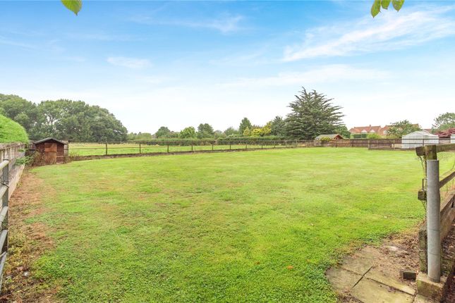 Paddocks