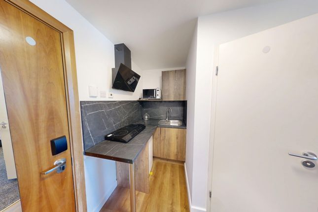Holy Green, Sheffield photo 4
