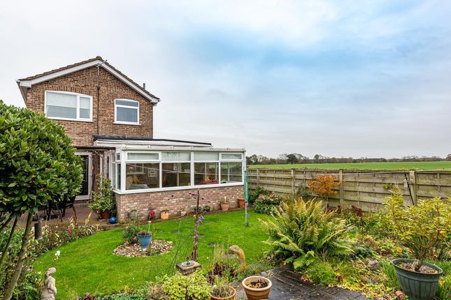 Thumbnail Detached house for sale in Sycamore Close, Skelton, York