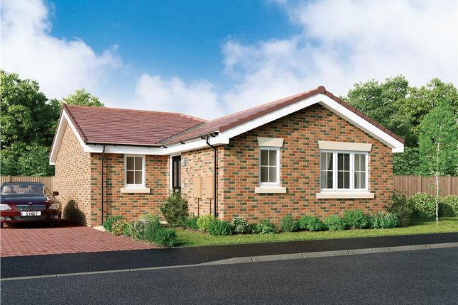 Thumbnail Bungalow for sale in "Richmond" at Hinckley Road, Stoke Golding, Nuneaton