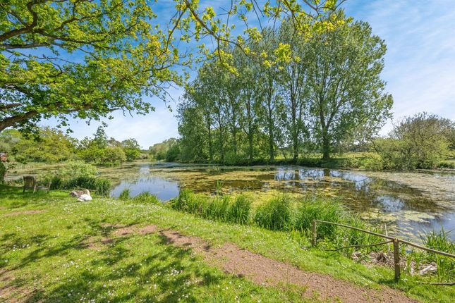 8, The Arboretum, Norwich photo 4