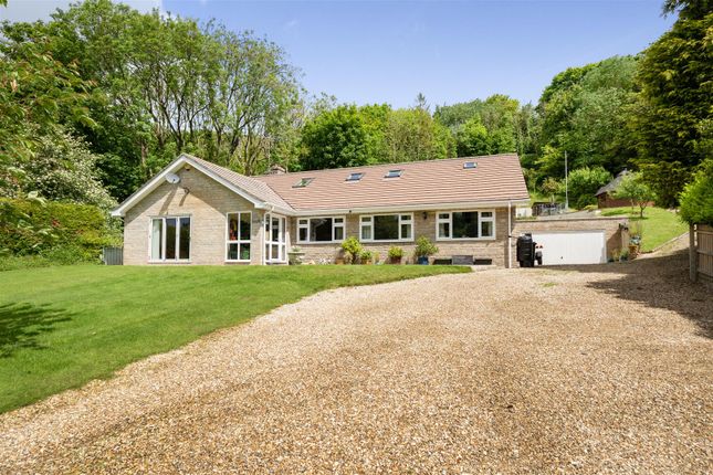 Thumbnail Detached bungalow for sale in Winterbourne Steepleton, Dorchester