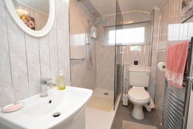 40 Mansionhouse Road, Falkirk photo 4