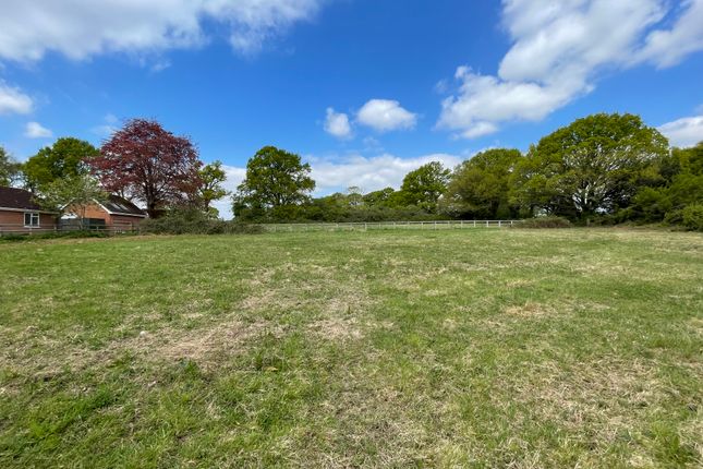 Thumbnail Land for sale in Worlds End, Nr. Hambledon
