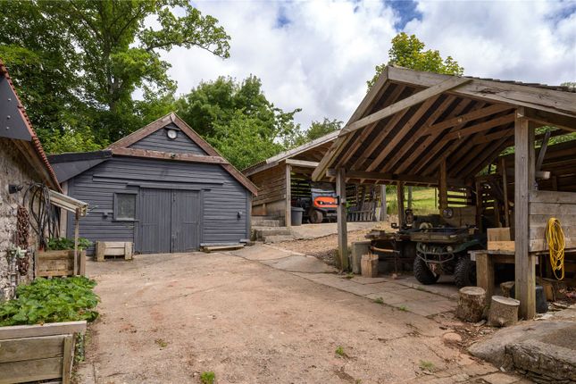 Walnut Tree Farm