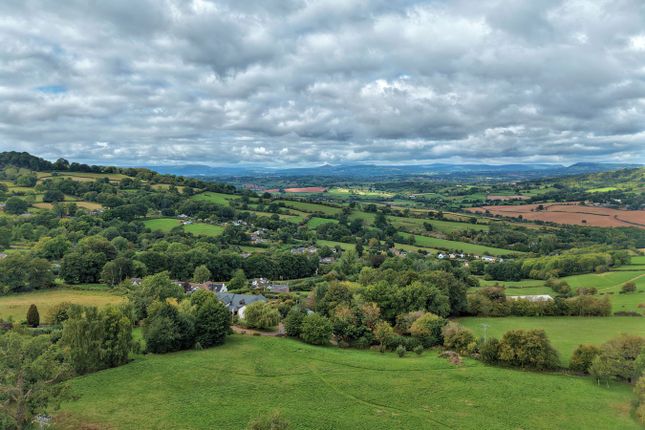 Highfield, Monmouth photo 3