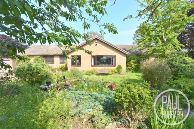 Thumbnail Detached bungalow for sale in Yarmouth Road, Lound, Norfolk
