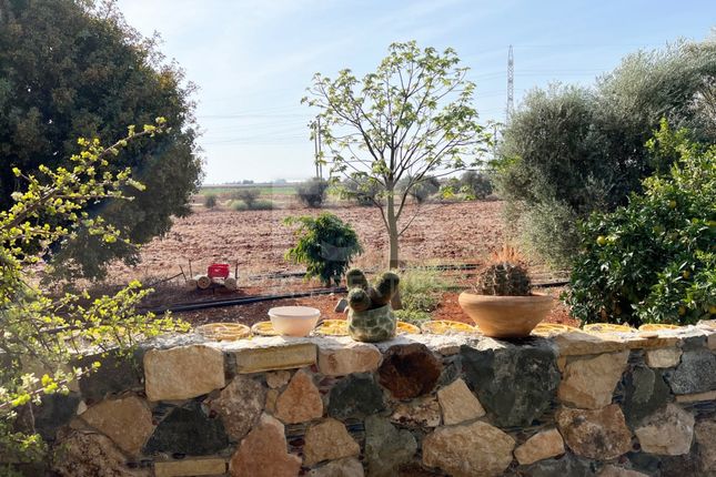 Bungalow for sale in Ormideia, Cyprus