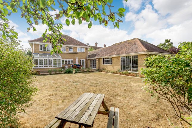 Thumbnail Detached house for sale in Church Street, Guilden Morden, Royston, Hertfordshire