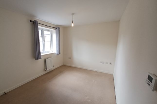35, Paignton photo 5